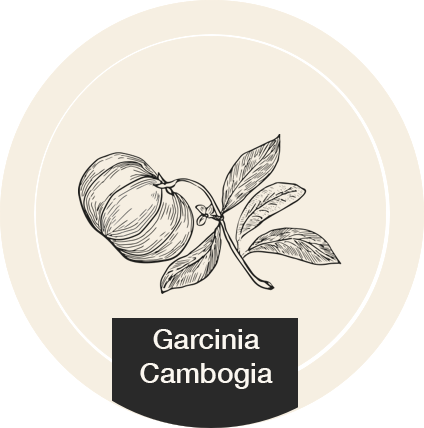 Garcinia Cambogia