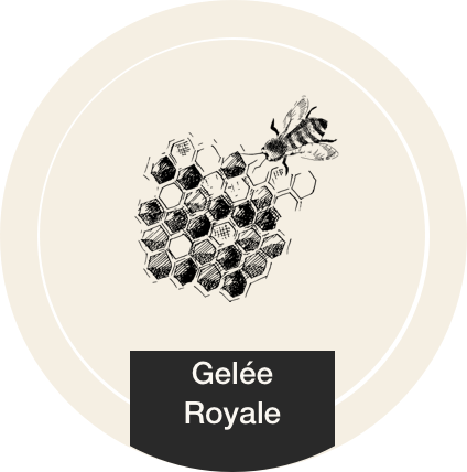 Gelée Royale