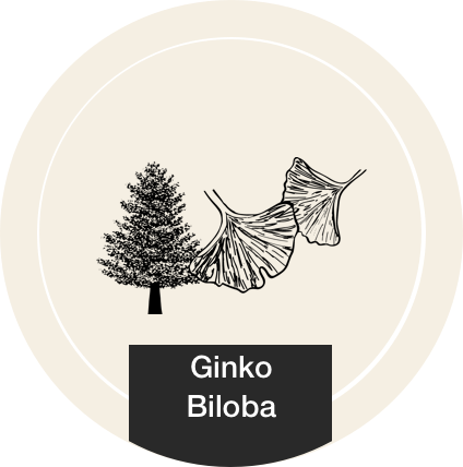 Ginkgo Biloba