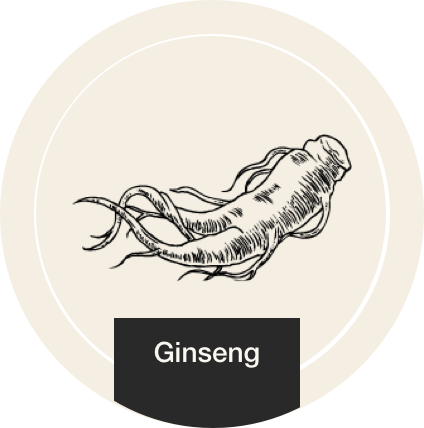 Ginseng