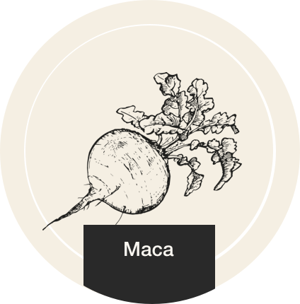 Maca