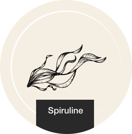 Spiruline